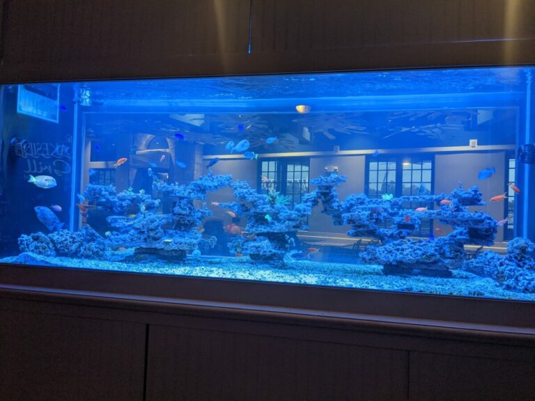 Lakeside Grill SeaWorld Orlando Review Green Vacation Deals